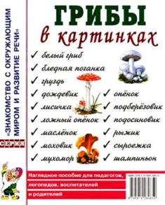 Грибы в картинках. Наглядное пособие