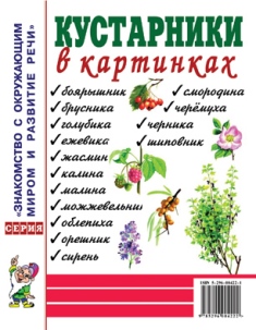 Кустарники в картинках. Наглядное пособие