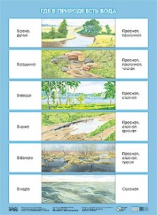 Где в природе есть вода. Плакат 500x690 мм