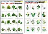 Мир растений-2. Комплект разрезных карточек А4