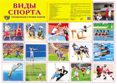 Виды спорта. Плакат. А2