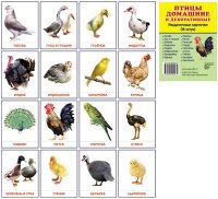Птицы. Домашние и декоративные. Набор 16 картинок 63*87 мм