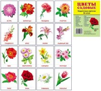 Цветы садовые. 16 карточек 63*87 мм