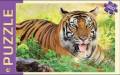 Пазл Красивый тигр. 360 элементов
