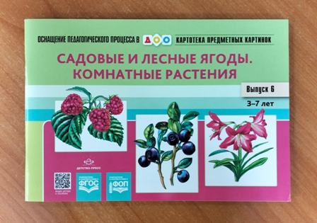 Картотека предметных картинок. Наглядный дидактический материал. Выпуск № 6. Садовые и лесные ягоды. Комнатные растения. ФГОС. ФОП.