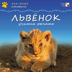 Забавные малыши. Львенок учится рычать.