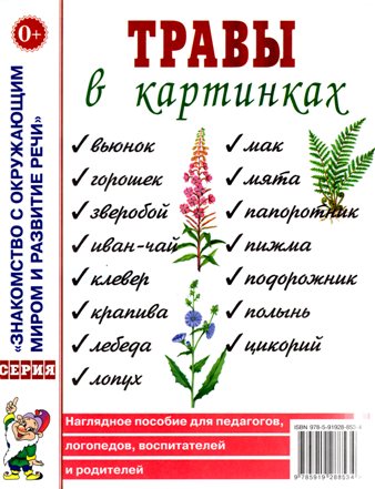 Травы в картинках Наглядное пособие