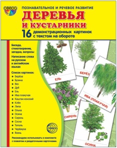 Деревья и кустарники. Демонстрационные картинки. 16 картинок 173*220 мм