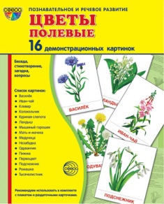 Цветы полевые. Демонстрационные картинки. 16 картинок 173*220 мм