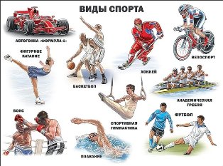 Виды спорта. Плакат А2