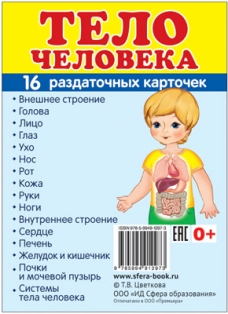 Тело человека. Набор из 16 раздаточных карточек. 63*87 мм