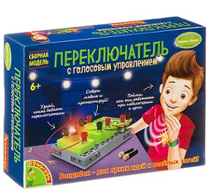 Переключатель с голосовым управлением. Французские опыты Науки с Буки
