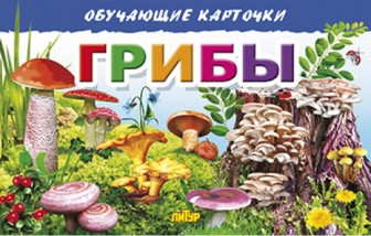 �����. ��������� ��������