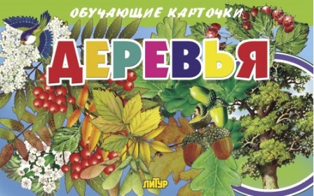 �������. ��������� ��������