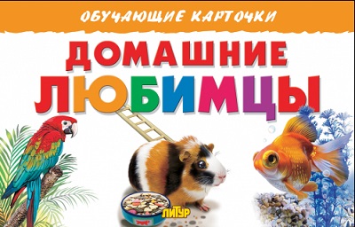 �������� �������. ��������� ��������