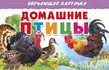 �������� �����. ��������� ��������