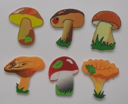 ����� ����� 6 ��