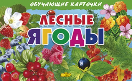 ������ �����. ��������� ��������