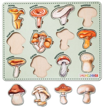 �����. �����-�������