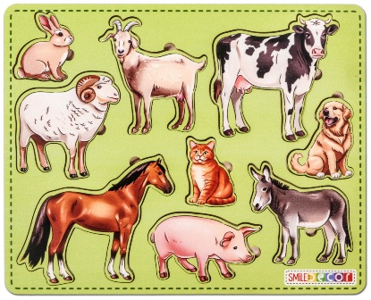 �������� ��������. ����� ��������