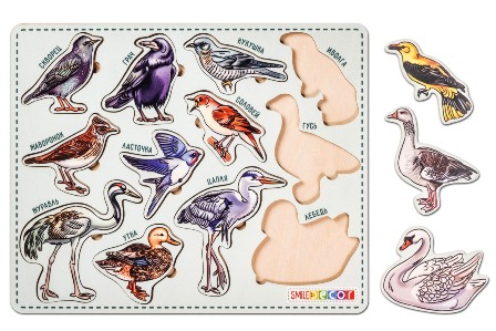 ���������� �����. ����� �������