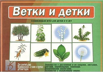 ����� � �����. ���� 5-9 ���