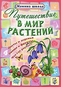 ����������� � ��� ��������. ������ �����
